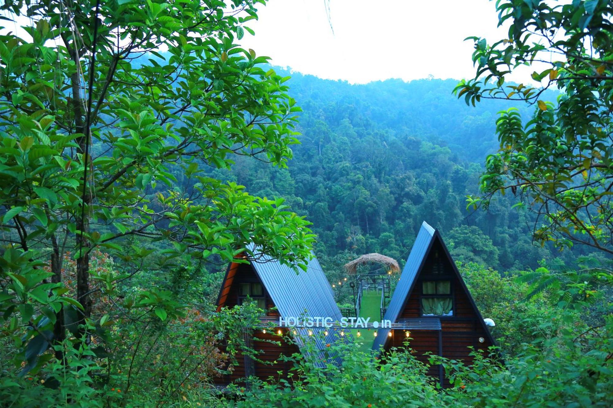 Holistic Stay Eco-Resort & Ayurvedic Retreat Paithalmala Esterno foto