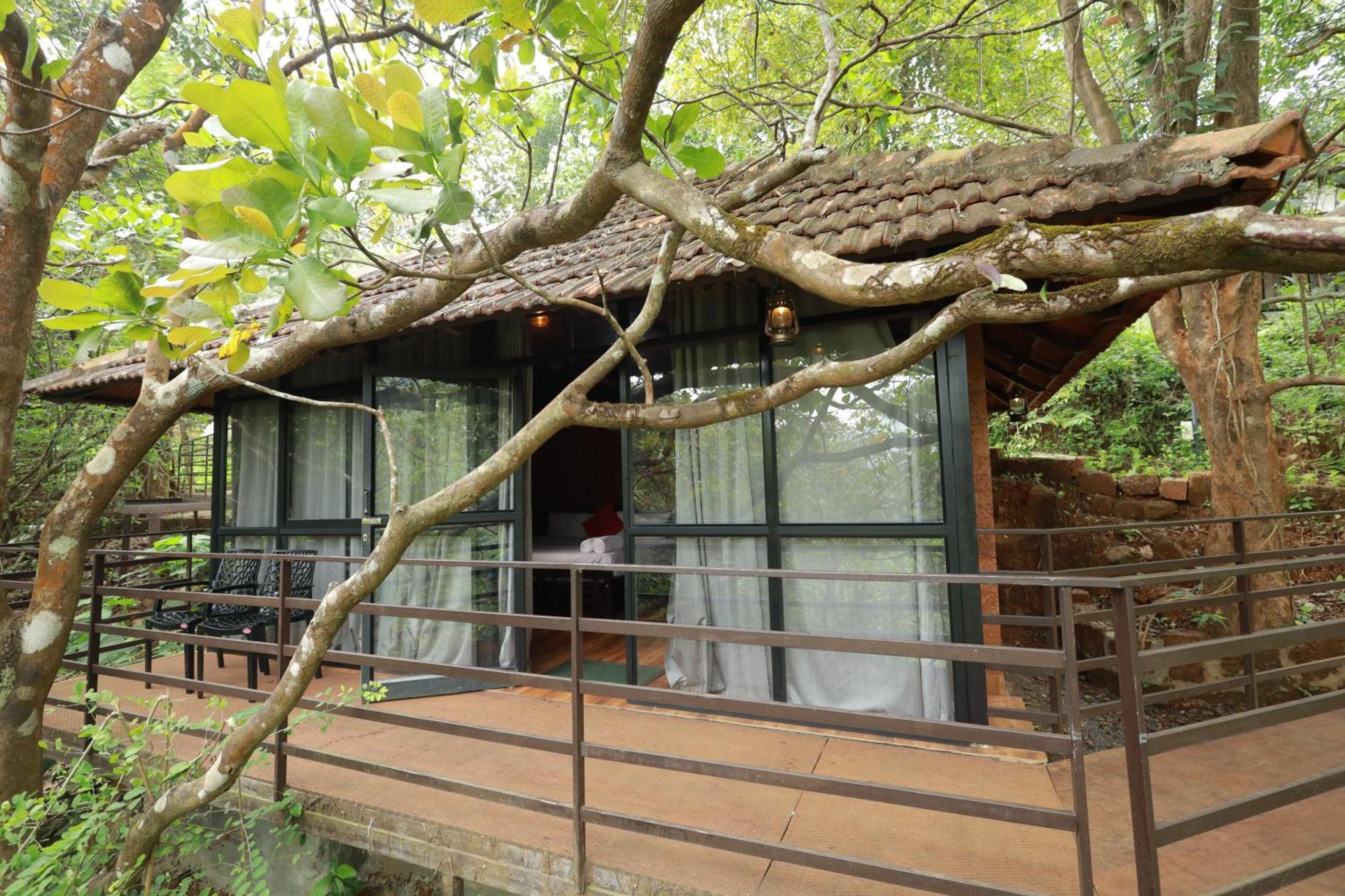 Holistic Stay Eco-Resort & Ayurvedic Retreat Paithalmala Esterno foto